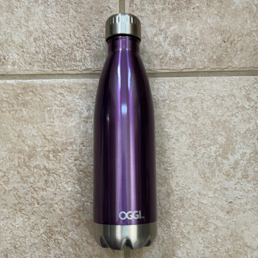 Oggi Calypso Stainless Steel Sports Water Bottle 17oz .5L Purple Lustre